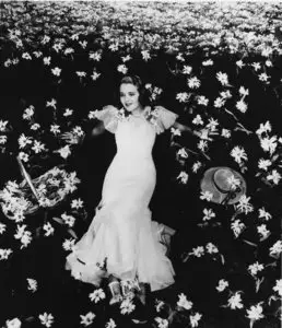 Pictures of the 20th Century (part 5)