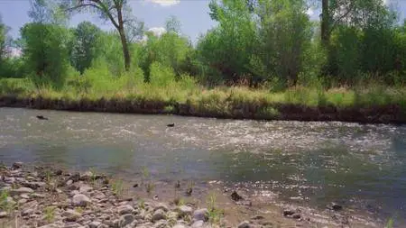 Journey with Dylan Dreyer S02E09