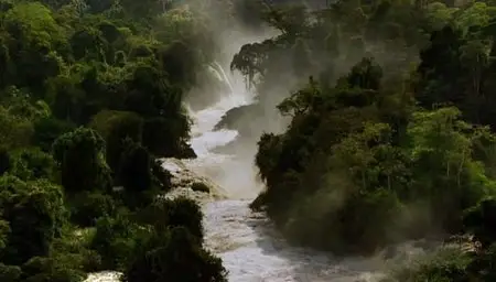 Home a Visual Portrayal of Earth (2009)