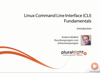 Linux Command Line Interface (CLI) Fundamentals