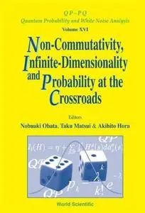 Non-commutativity, infinite-dimensionality and probability at the crossroads : proceedings of the RIMS Workshop on Infinite-Dim