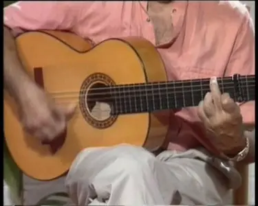 Juan Martin - La Guitarra Flamenca [repost]