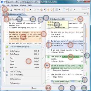 Deltopia Deltawalker 1.9.8 (Windows/MacOSX)