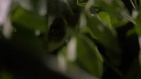Dead by Dawn S01E06