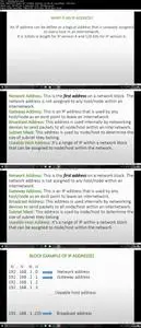 Learn IP addressing and basic Routing