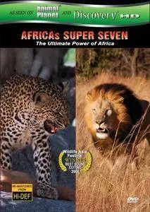 Africa's Super Seven (2008)