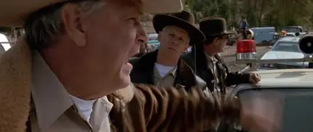 Fire in the Sky (1993)