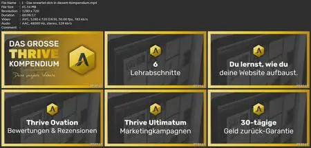 Thrive Themes: Das Große Website Kompendium