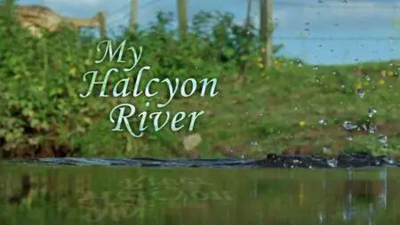 BBC Natural World - My Halcyon River (2002)