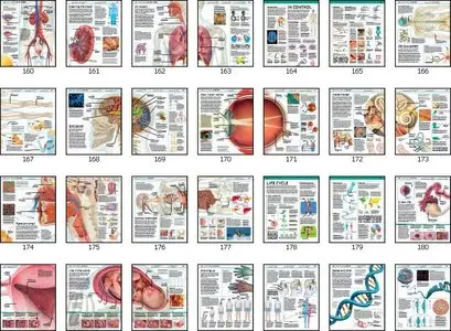 Knowledge Enyclopedia: The World as You’ve Never Seen it Before