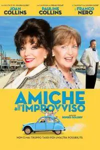 Amiche all'improvviso / The Time of Their Lives (2017)