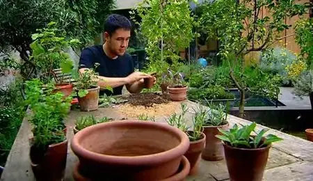 BBC - Grow Your Own Drugs (Series 2) (2011)