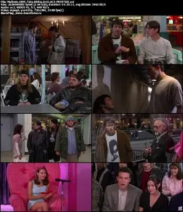 Mallrats (1995)