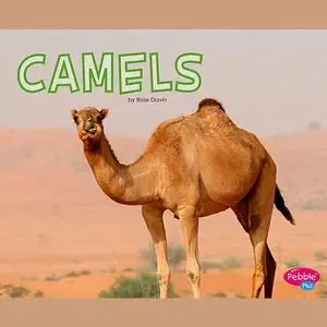 «Camels» by Rose Davin