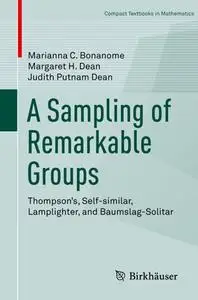 A Sampling of Remarkable Groups: Thompson's, Self-similar, Lamplighter, and Baumslag-Solitar (Repost)