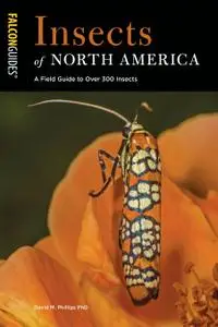 Insects of North America: A Field Guide to Over 300 Insects