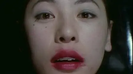 Topâzu / Tokyo Decadence (1992)