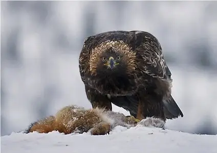 World In Photo 264