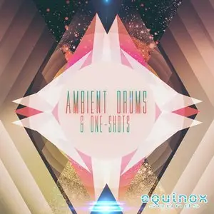 Equinox Sounds Ambient Drums One Shots [WAV/REX]
