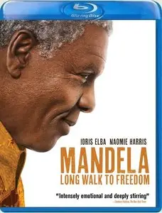 Mandela: Long Walk to Freedom (2013)