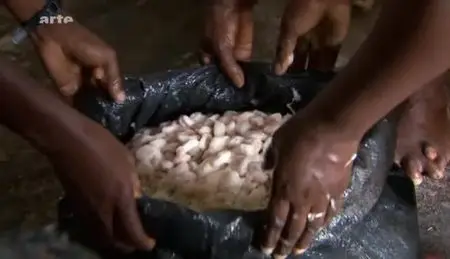 (Arte) Équateur, l'autre pays du chocolat (2012)