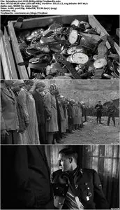 Schindler's List (1993)