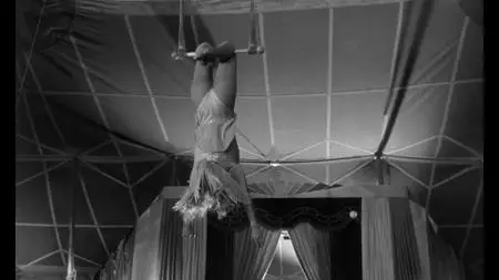 Wings of Desire (1987)