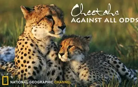 National Geographic: Cheetahs Against All Odds (2008)