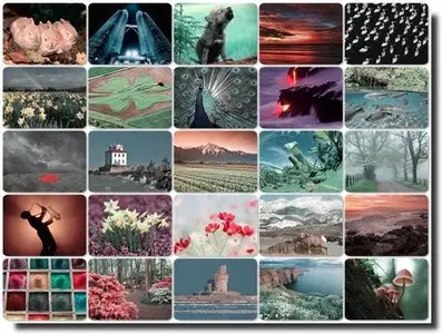 Webshots March 2011 Premium Collection