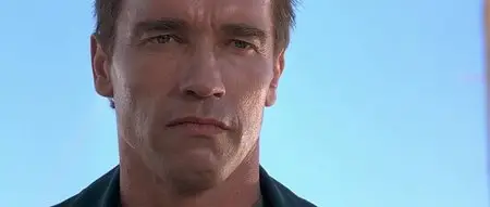 Terminator 2: Judgment Day (1991) - Sunshine Edition