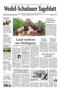 Wedel-Schulauer Tageblatt - 11. Februar 2019