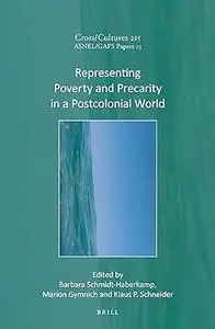 Representing Poverty and Precarity in a Postcolonial World