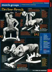Muscle & Fitness - MuscleGroup TRICEPS
