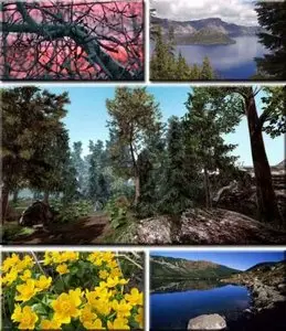 Full HD Wallpapers Pack (25)