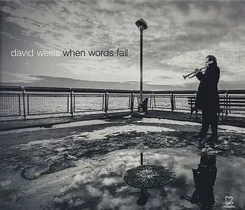 David Weiss - When Words Fail (2014) {Motema}