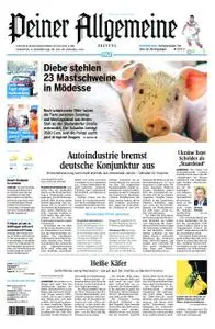 Peiner Allgemeine Zeitung - 15. November 2018