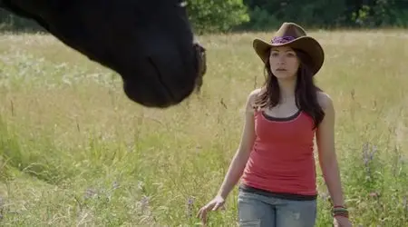 Midnight Stallion (2013)
