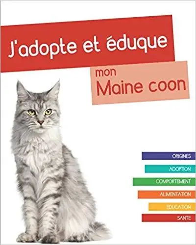 J'adopte et éduque mon Maine coon