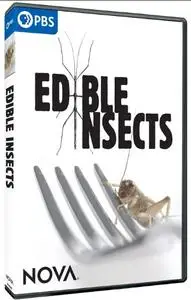 PBS - NOVA: Edible Insects (2021)