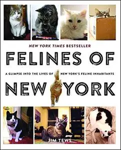 Felines of New York: A Glimpse Into the Lives of New York's Feline Inhabitants