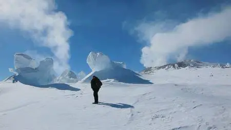 Antarctica: A Year on Ice (2013)