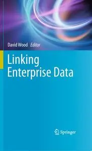 Linking Enterprise Data