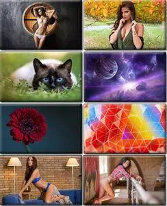 LIFEstyle News MiXture Images. Wallpapers Part (1289)