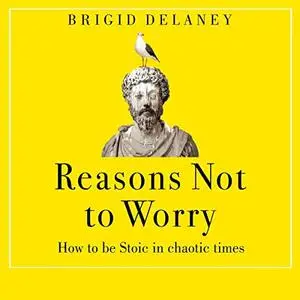 Reasons Not to Worry: How to Be Stoic in Chaotic Times [Audiobook]