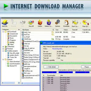 Internet Download Manager v5.17.3 WinALL