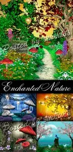 Stock Photo - Enchanted Nature