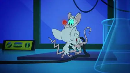 Animaniacs S03E09