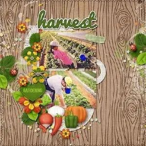 Scrap-kit - Garden with vegetables