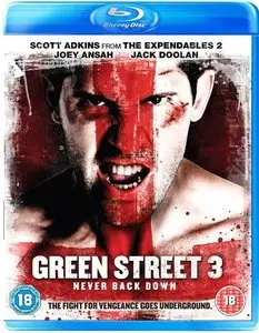 Green Street 3: Never Back Down (2013)