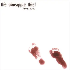 The Pineapple Thief - Little Man (2006)
